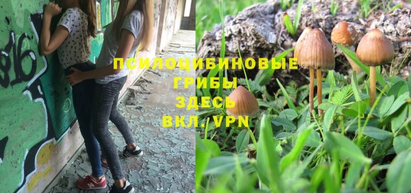 каннабис Верея