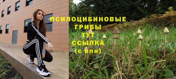 шишки Верхний Тагил