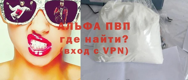 шишки Верхний Тагил