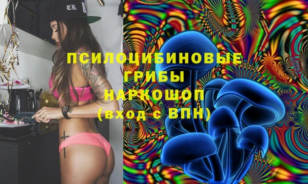 шишки Верхний Тагил