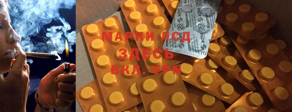 шишки Верхний Тагил