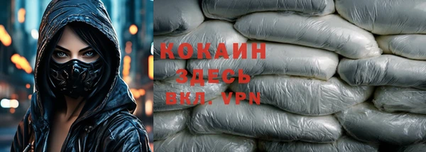 шишки Верхний Тагил